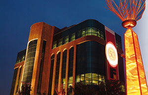 博天堂集团简介